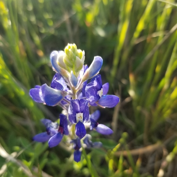 Make Me An Offer! If You Like Something Let Me Know! - Picture 1 of 1